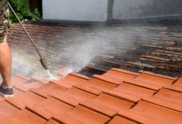 Best House Pressure Washing  in Franklin Park, NJ