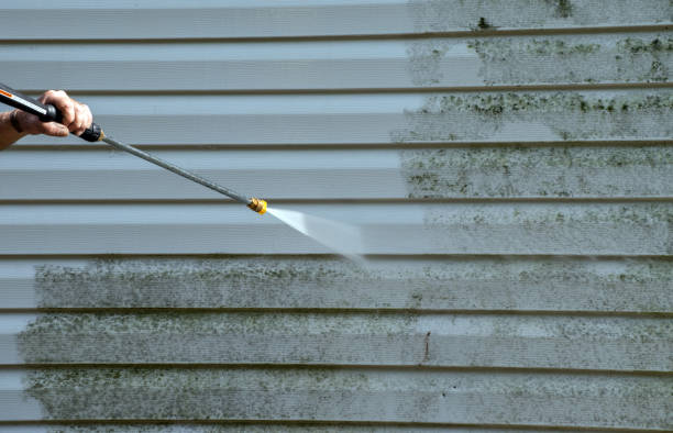 Best Deck Cleaning Services  in Franklin Park, NJ